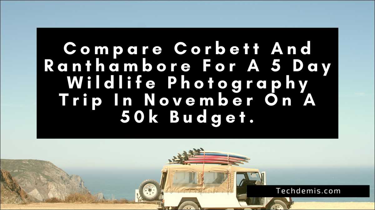 Corbett vs Ranthambore for Wildlife Photography: 5-Day November Trip on ₹50,000 Budget