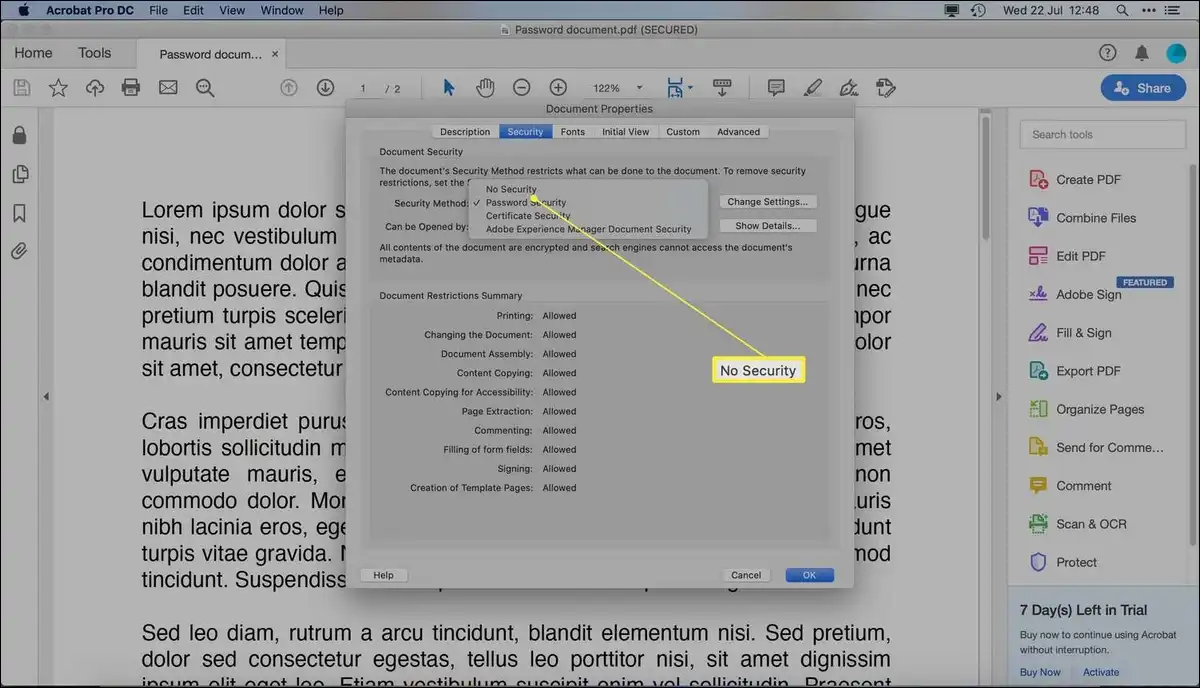 Adobe Acrobat Pro menu showing the Remove Security option to delete a PDF password