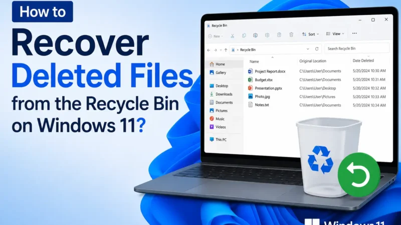 How to Recover Deleted Files from the Recycle Bin on Windows 11? [Free Methods]