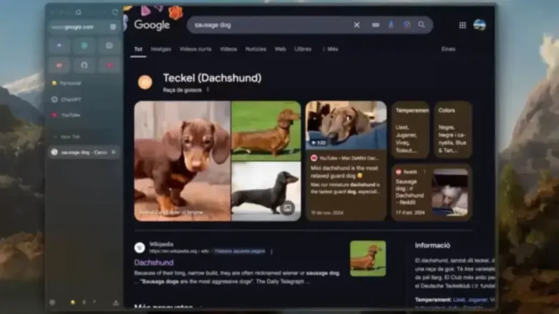 Zen Browser Rules Out HEX Color Picker as User Base Hits 500,000